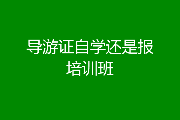 导游证自学还是报培训班