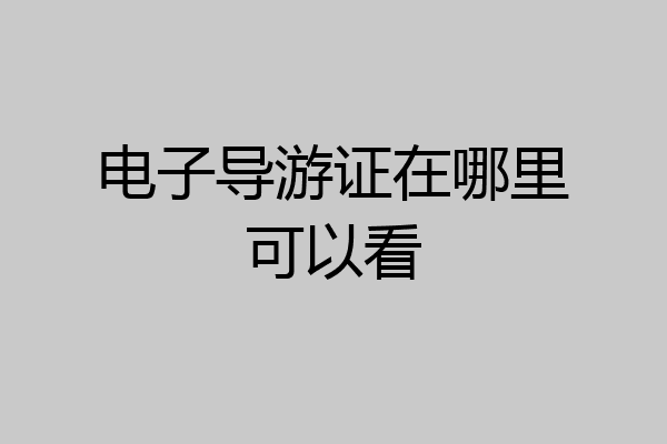 电子导游证在哪里可以看