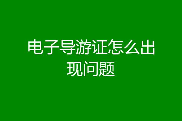 电子导游证怎么出现问题