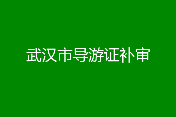 武汉市导游证补审