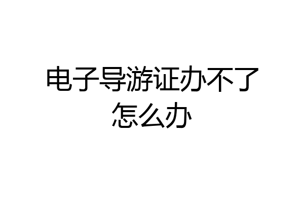 电子导游证办不了怎么办