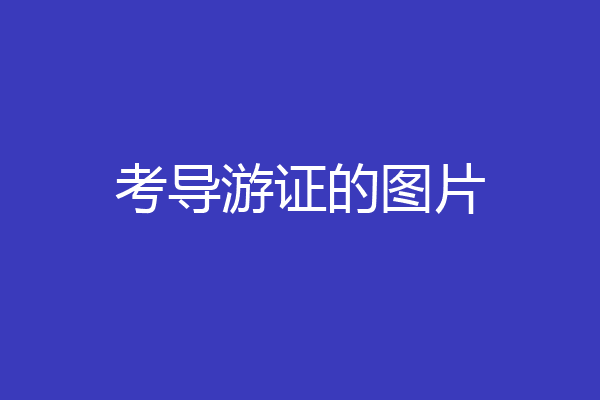 考导游证的图片