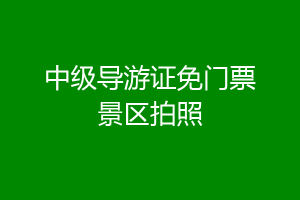 中级导游证免门票景区拍照