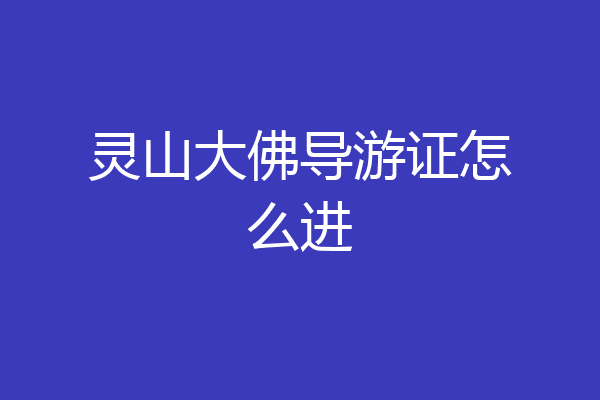 灵山大佛导游证怎么进