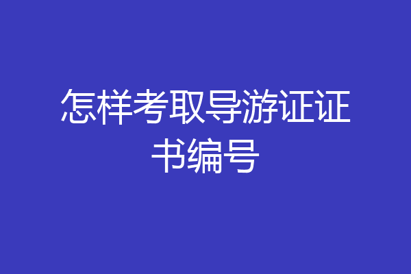 怎样考取导游证证书编号