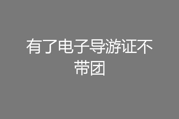有了电子导游证不带团