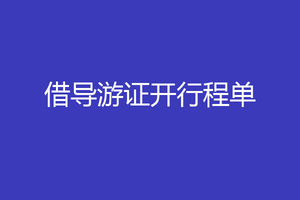 借导游证开行程单