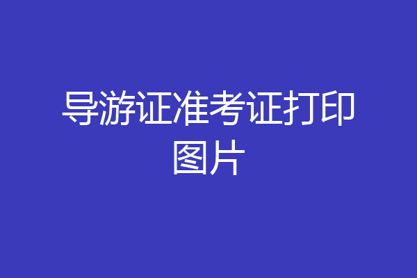 导游证准考证打印图片