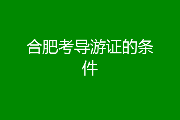 合肥考导游证的条件