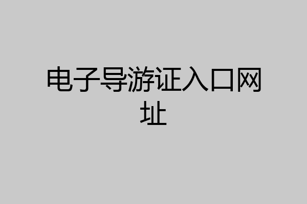电子导游证入口网址