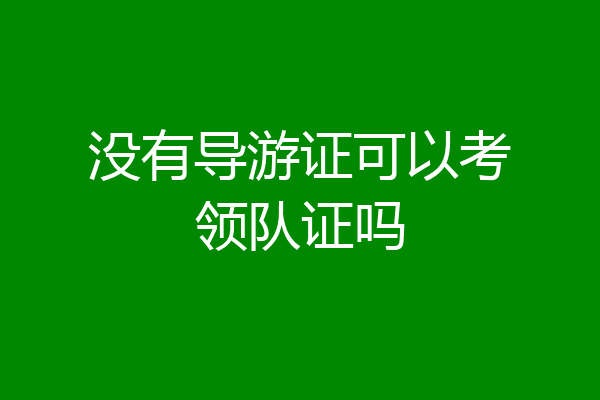 没有导游证可以考领队证吗