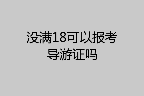 没满18可以报考导游证吗