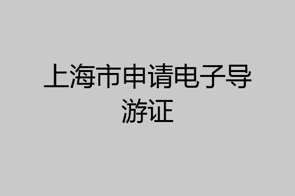 上海市申请电子导游证