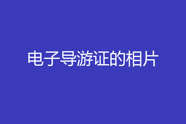 电子导游证的相片