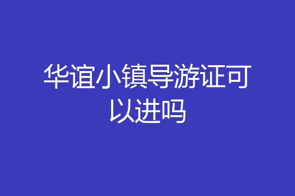 华谊小镇导游证可以进吗
