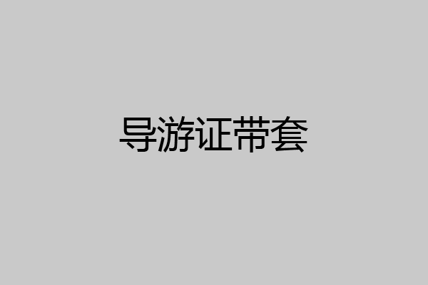 导游证带套