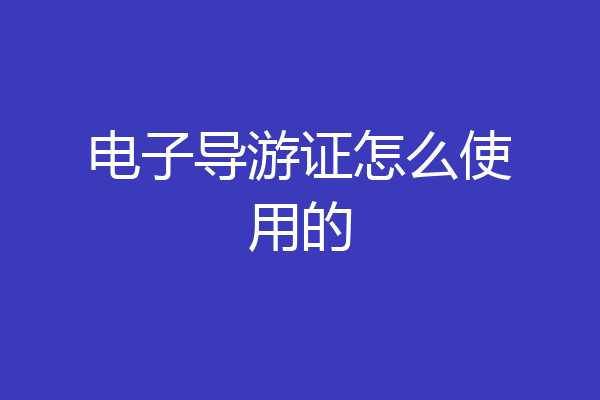 电子导游证怎么使用的