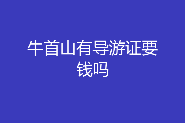 牛首山有导游证要钱吗