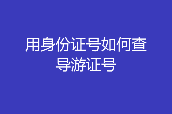 用身份证号如何查导游证号