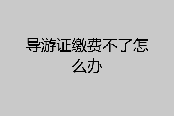 导游证缴费不了怎么办