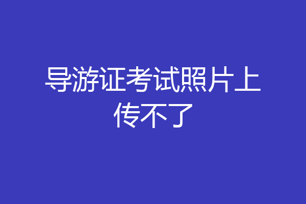 导游证考试照片上传不了