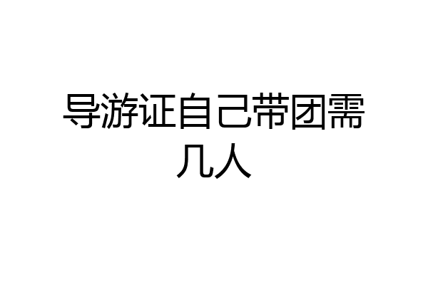 导游证自己带团需几人