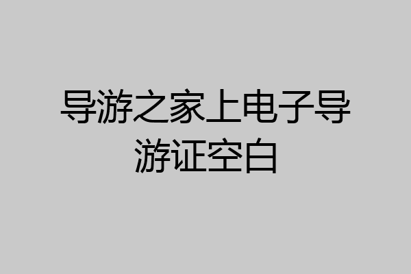 导游之家上电子导游证空白