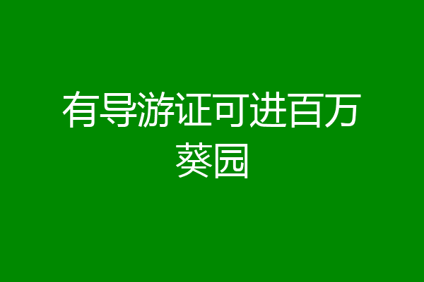 有导游证可进百万葵园