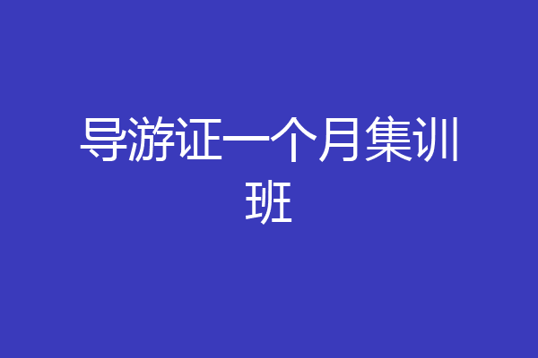 导游证一个月集训班