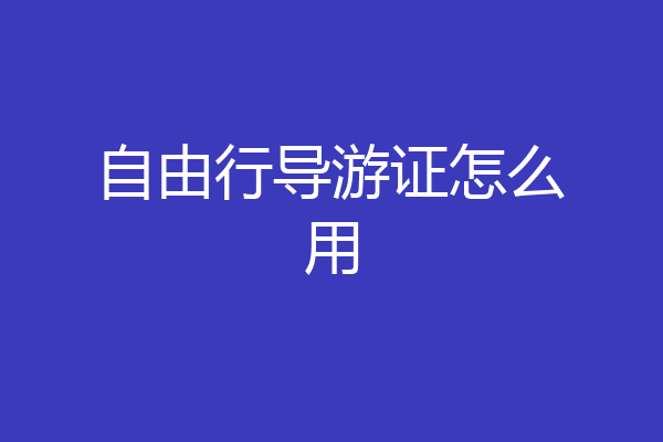自由行导游证怎么用