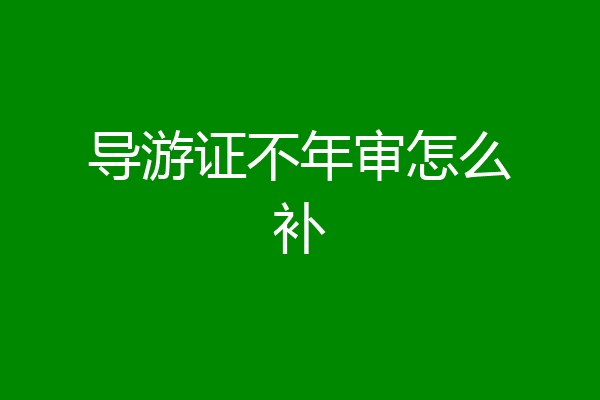 导游证不年审怎么补