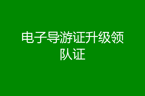 电子导游证升级领队证