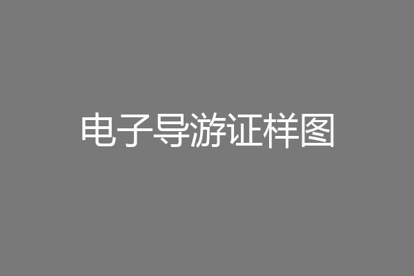 电子导游证样图