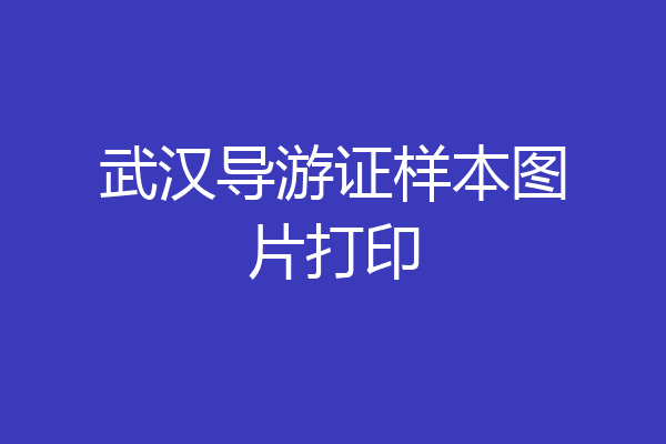 武汉导游证样本图片打印