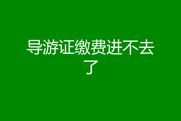 导游证缴费进不去了
