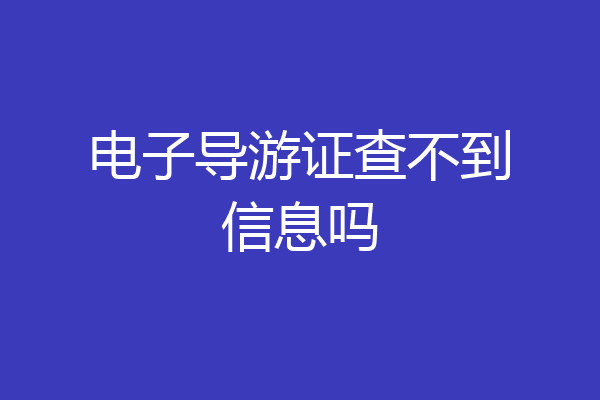 电子导游证查不到信息吗