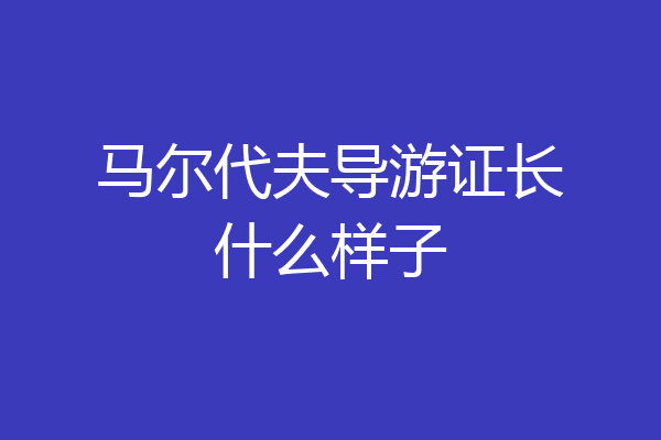 马尔代夫导游证长什么样子