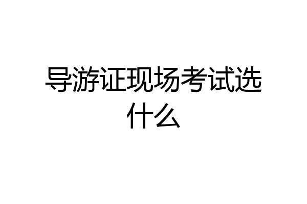 导游证现场考试选什么