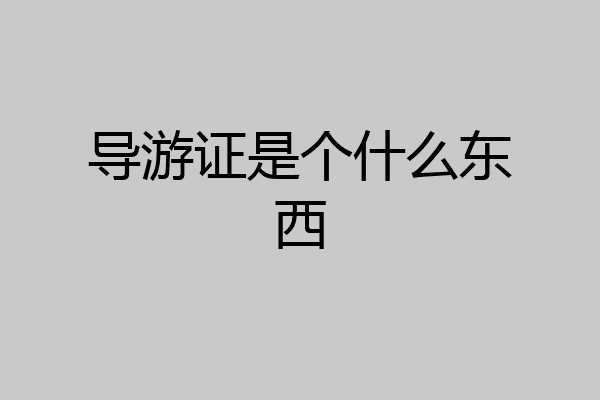 导游证是个什么东西