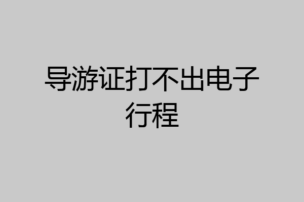 导游证打不出电子行程