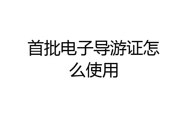 首批电子导游证怎么使用