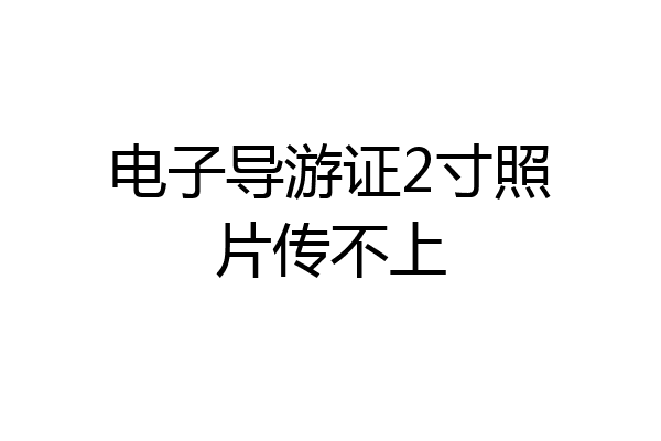电子导游证2寸照片传不上