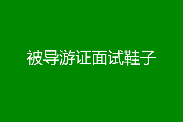 被导游证面试鞋子