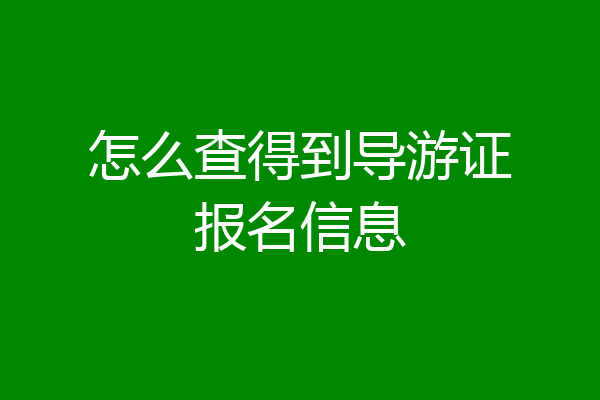 怎么查得到导游证报名信息