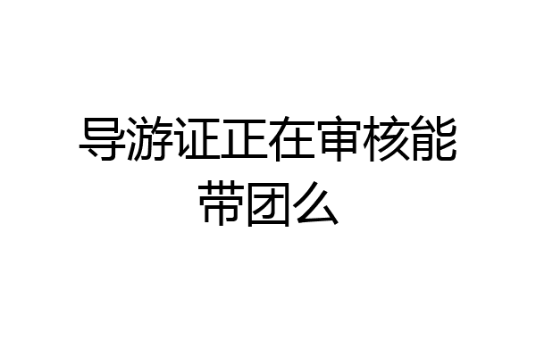 导游证正在审核能带团么