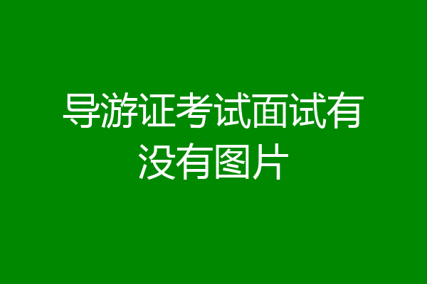 导游证考试面试有没有图片