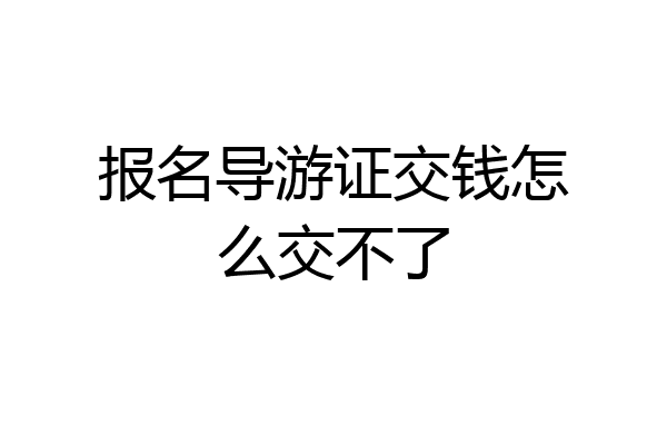 报名导游证交钱怎么交不了