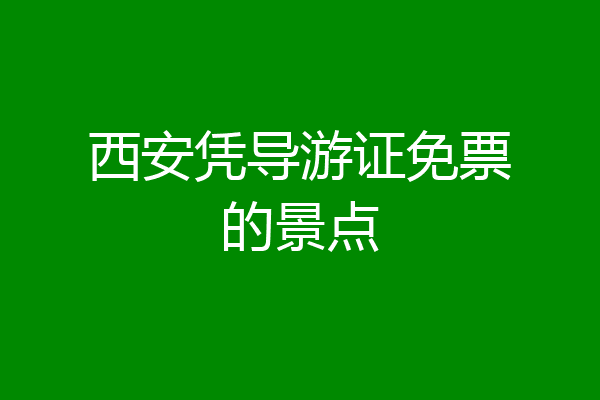 西安凭导游证免票的景点