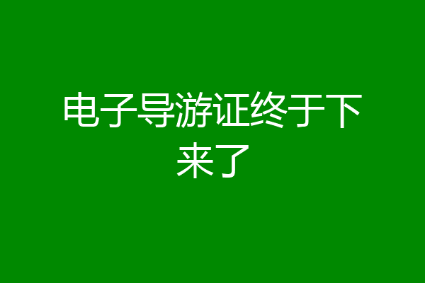 电子导游证终于下来了