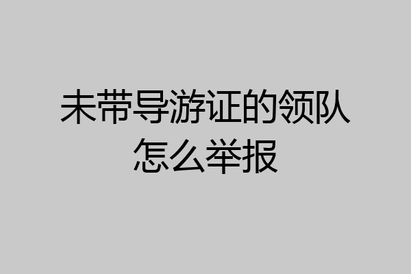 未带导游证的领队怎么举报